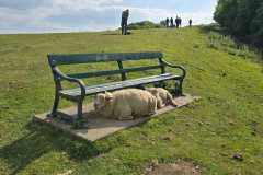 IMG-20250519-WA0064