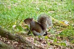 IMG-20250519-WA0069
