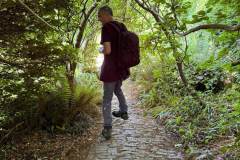 IMG-20250520-WA0031