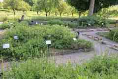 20250520_145523-Kopie