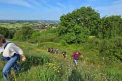 IMG-20250520-WA0045