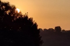 20250520_054355