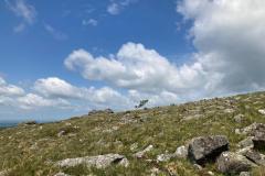 IMG-20250521-WA0017