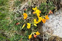 IMG-20250521-WA0035