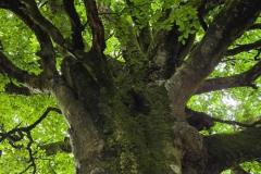 IMG-20250521-WA0056