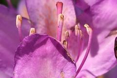 IMG-20250521-WA0060