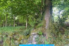 IMG-20250522-WA0006
