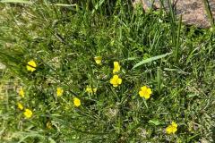 IMG-20250522-WA0063