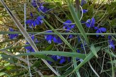 IMG-20250522-WA0068