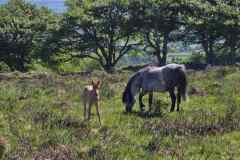 IMG-20250522-WA0095