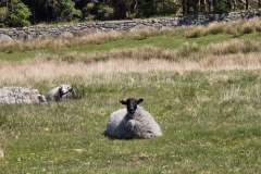 IMG-20250522-WA0123
