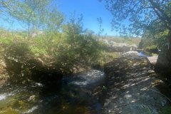 IMG-20250522-WA0140