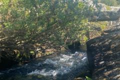 IMG-20250522-WA0141