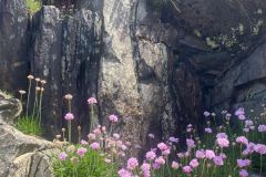 IMG-20250523-WA0101