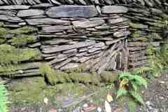 20250523_151141