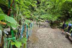 IMG-20250525-WA0000