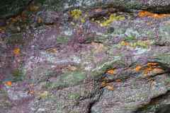 IMG-20250525-WA0009