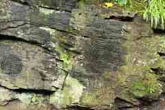 IMG-20250525-WA0024