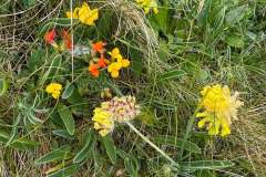 IMG-20250524-WA0021