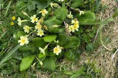 IMG-20250524-WA0025