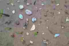 IMG-20250525-WA0035