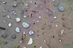 IMG-20250525-WA0036