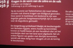 EXPO-en-Leiden-037