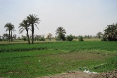 Hoeni-piramide-Medoem