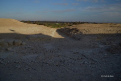 DSC_0227.Vivid_