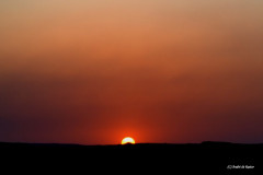 DSC_0351.Vivid_