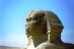 SAM_0417