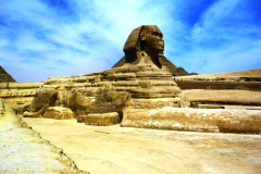 SAM_0424