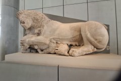 20260314_095449