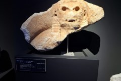 20260308_093906