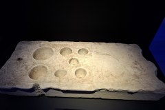 20260308_094028