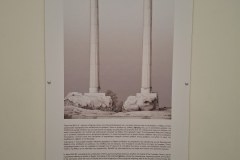 20260313_102140