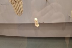 20260313_105128