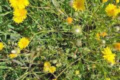 IMG-20260310-WA0055
