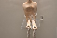 20260310_103746