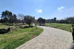20260312_125833