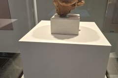 20260312_123155