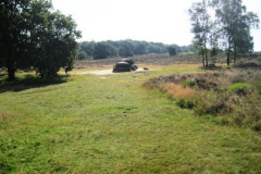 04-Hunebed-D54-bij-Havelte