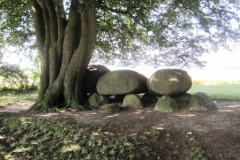 31-Hunebed-D21-bij-Bronneger