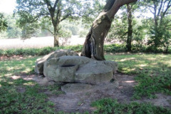 33-Hunebed-D22-bij-Bronneger