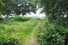 002-Hunebedden-2013