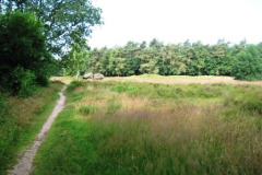 019-Hunebedden-2013