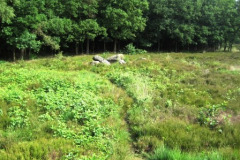 024-Hunebedden-2013