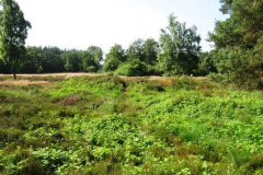 026-Hunebedden-2013