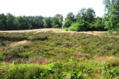 027-Hunebedden-2013