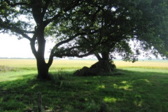035-Hunebedden-2013